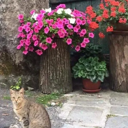 La Casa Di Pietra A *